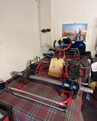 Go kart pcr