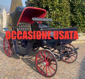 Carrozza per cavalli vittoria usata