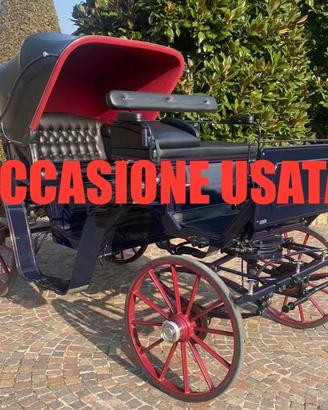 Carrozza per cavalli vittoria usata