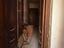 Immagine 11