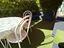 Immagine 19