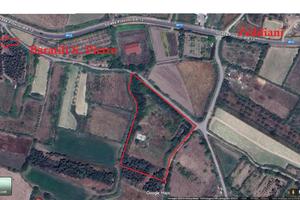 Terreno irriguo parzialmente alberato Baratili