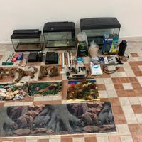 Acquari o terrario accessori pesci rettili anfibi