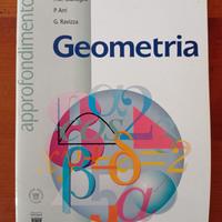 Approfondimenti di Geometria - Liceo scientifico
