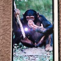 Xiaomi 11T  8/128 gb smartphone