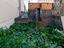 Immagine 19