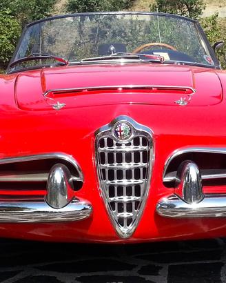 1963 | Alfa Romeo Giulia 1600 Spider