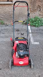 Tagliaerba  Newton con motore Briggs  & Stratton  