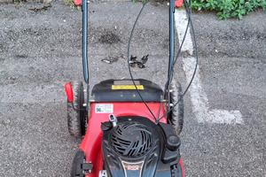 Tagliaerba  Newton con motore Briggs  & Stratton  