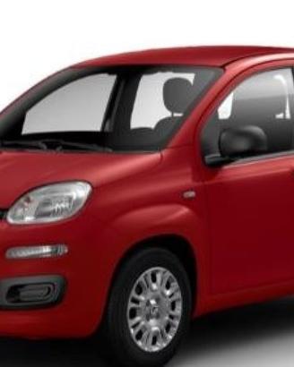 FIAT Panda 1.0 Hybrid Pop 70CV PRONTA CONSEGNA
