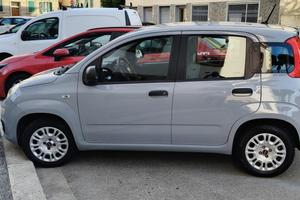 Fiat Panda  1.2 Easy
