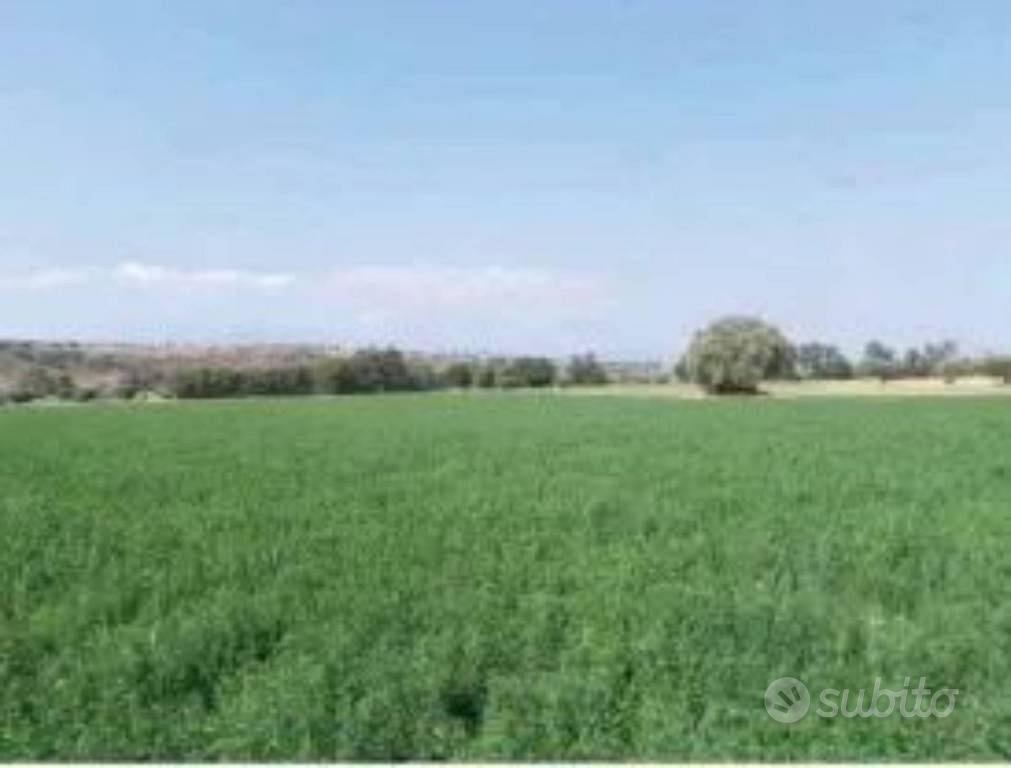 Immobile in asta di 37060 m² a Roggiano Gravina - Altro