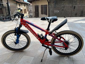 Mtb Torpado Tigre 20'