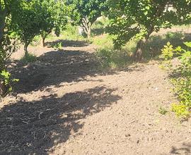 Casetta con terreno