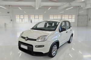 FIAT PANDA 1.0 HYBRID 70cv MY22