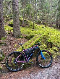 Bice MTB front Petricore