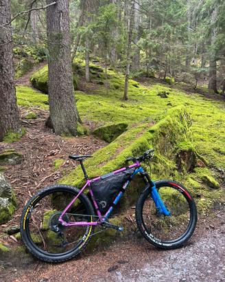 Bice MTB front Petricore