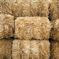 Disponibile foraggio brado