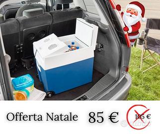Frigorifero Portatile Elettrico, 48 L