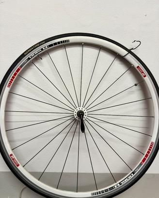 Cerchi ruota bici da corsa DT SWISS