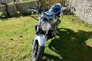 Hornet 600