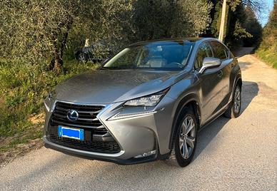 LEXUS NX 300 h Luxury 1ª serie