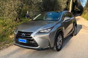 LEXUS NX 300 h Luxury 1ª serie