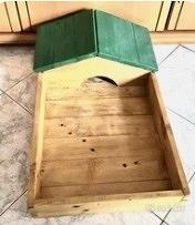 Terriera per Tartaruga 