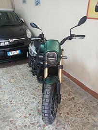 Benelli leoncino 800 trial