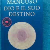 Vito Mancuso Dio e il suo destino
