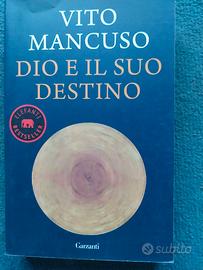 Vito Mancuso Dio e il suo destino