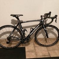 Fodriest TF2 full carbon TG 52