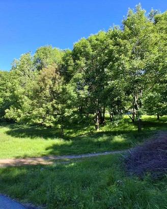 Terreno Agricolo a Quarna Sopra