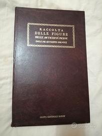 Libro storico antichità Picene