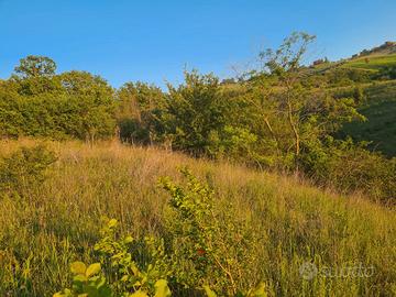 Terreno agricolo in Ariano Irpino