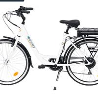 Bici elettrica