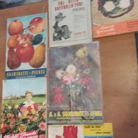 cataloghi vivai anni 50/70