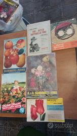 cataloghi vivai anni 50/70