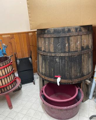 Tino in castagno per vendemmia