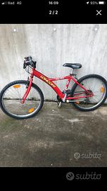 Bici Mountainbike ragazzo ruota 24”