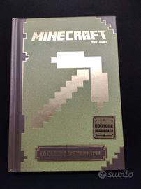 Libri assortiti Minecraft