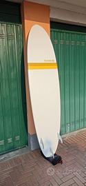 tavola surf 