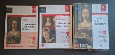 Libro  "Il bello della letteratura"