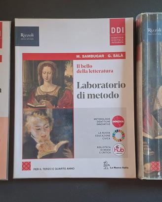 Libro  "Il bello della letteratura"