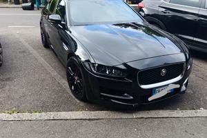 Jaguar anno 2016