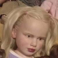 Reborn doll  toddler 