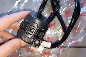 devioluci sinistro Panigale 899 959 1199 1299