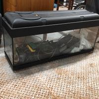 ACQUARIO CON ACCESSORI 