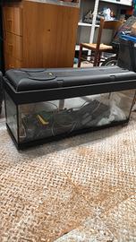 ACQUARIO CON ACCESSORI 