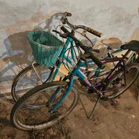 Bici d'epoca Atala/Cinzia singole o in coppia